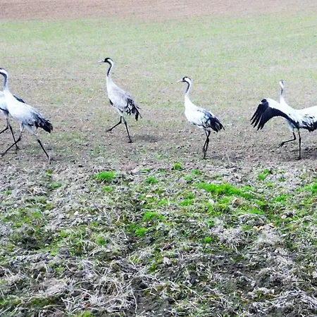 Marina Chill - Widok Na Wode, Klima, Lux, Parking, Winda, Netflix I Tv55