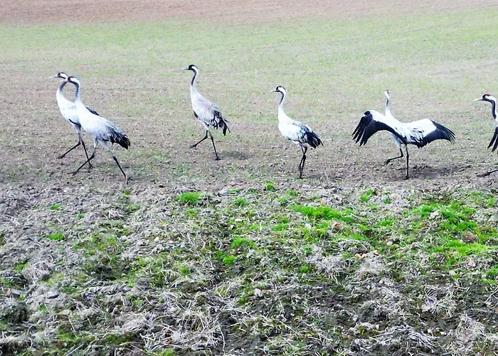 Marina Chill - Widok Na Wode, Klima, Lux, Parking, Winda, Netflix I Tv55